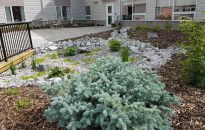 A wet area in the yard becomes a landscape feature when it is transformed into a Rain Garden.